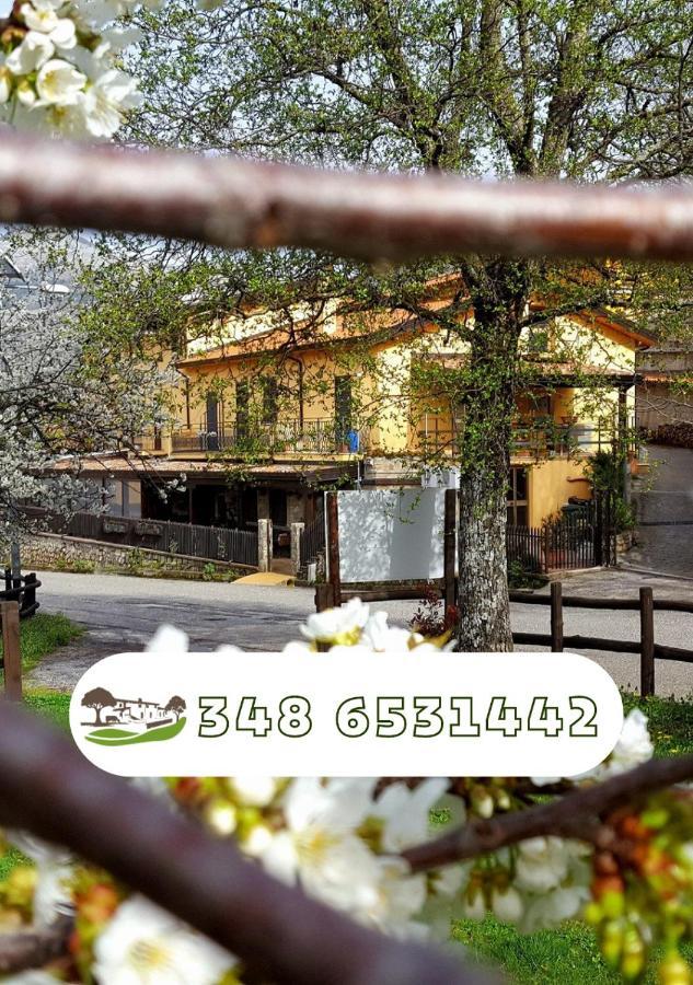 Agriturismo Aria Fina Villa Mormanno Luaran gambar